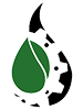 Petrocial
